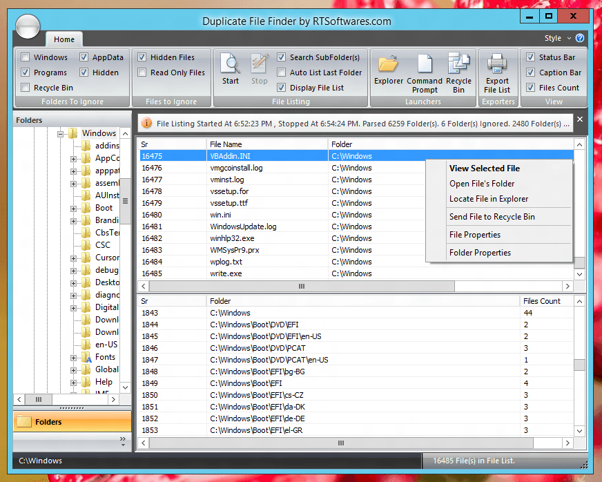 duplicate file finder pro windows